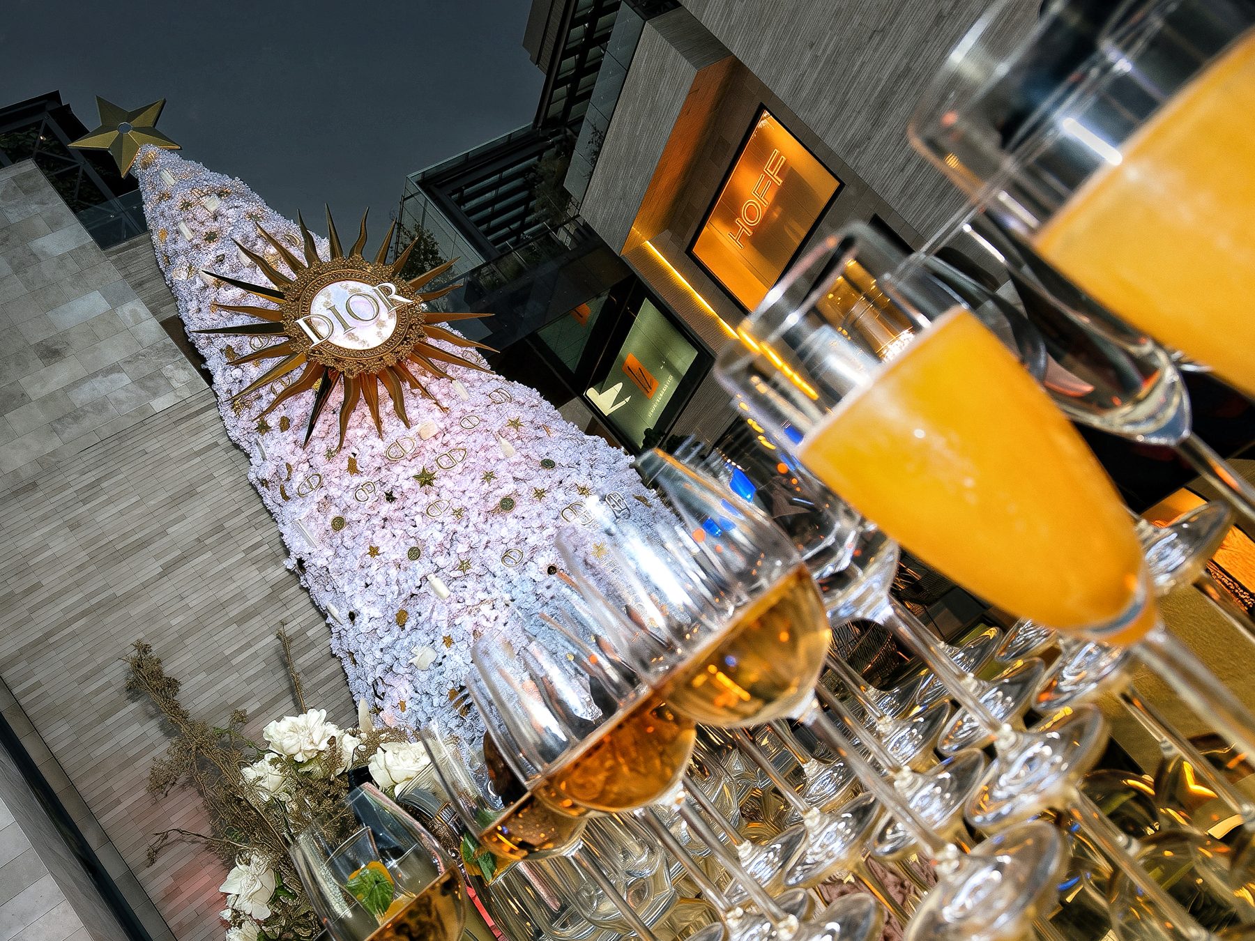 Brindis en un evento privado GIOIA